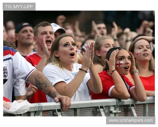 世界杯期间针对全球观众的实时弹幕互动赛